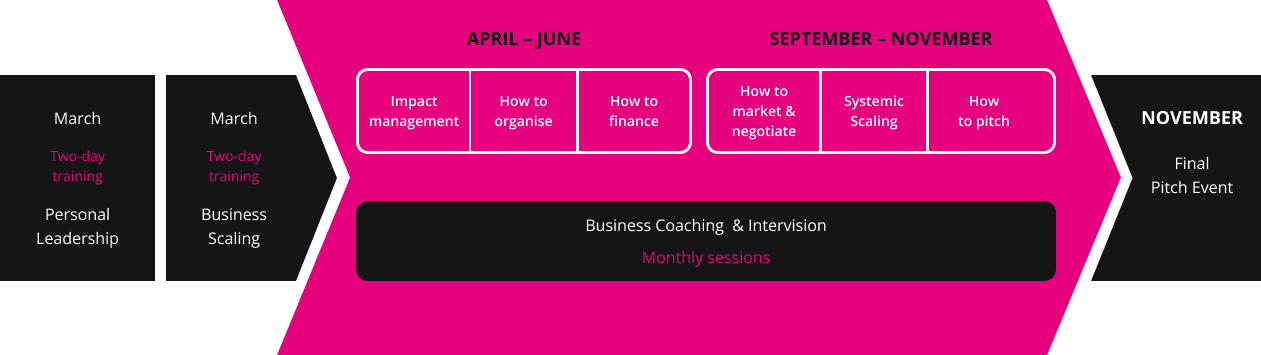 Programme structure